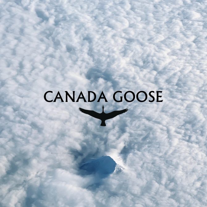 VASSI, Dreislug - Canada Goose